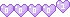 blog counter