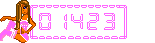 website counters